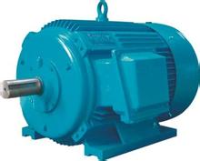 美國 Marathon  馬拉松 電機(jī)