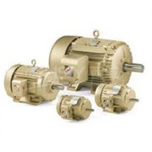 德國(guó)ROSENBERG電機(jī)