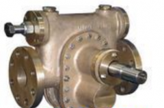 德國(guó)ipp轉(zhuǎn)子泵